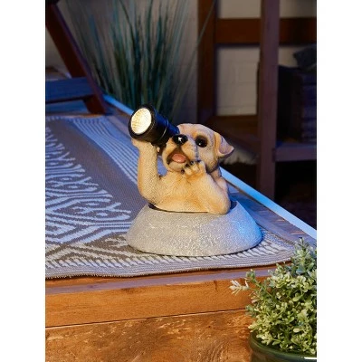 Hot Sale π₯° Zingz & Thingz Zingz & Thingz 10" Polyresin Puppy with Telescope Solar Light Statue π 14 Hot Sale π₯° Zingz & Thingz Zingz & Thingz 10" Polyresin Puppy with Telescope Solar Light Statue π - Image 12