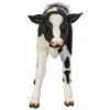 New ⭐ Design Toscano Buttercup, The Life-Size Holstein Calf Dairy Cow Statue 👏 -Garden Decor Shop unnamed file 1181