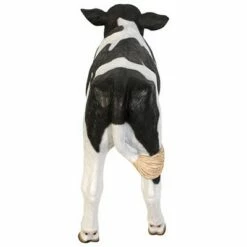 New ⭐ Design Toscano Buttercup, The Life-Size Holstein Calf Dairy Cow Statue 👏 -Garden Decor Shop unnamed file 1184