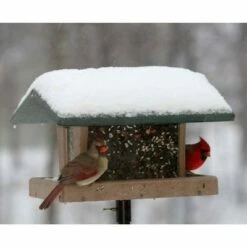 Cheapest 👍 Birds Choice 3qt 4-Sided Hopper with Green Roof Bird Feeder ⌛