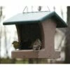 Coupon βοΈ Birds Choice 1-1/2 Quart 2-Sided Hopper Bird Feeder with Hanging Cable π 2 Coupon βοΈ Birds Choice 1-1/2 Quart 2-Sided Hopper Bird Feeder with Hanging Cable π -Garden Decor Shop unnamed file 11971