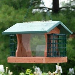 Buy 🎉 Woodlink 24421 Going Green 5.5 Pound Seed Recycled Plastic Hanging Bird Feeder with 2 Suet Feeder Cages, Green 💯
