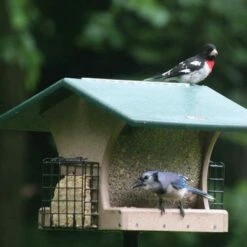 Wholesale ⌛ Birds Choice Cage Feeder with Base and Roof Top Bird Feeder 🧨 -Garden Decor Shop unnamed file 11985