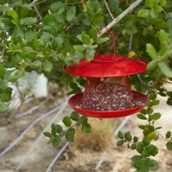 Deals ❤️ Farmlyn Creek Red Hanging Bird Feeder Hopper for Outdoors, 11 x 8.7 in 😍