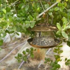 Best deal βοΈ Farmlyn Creek Brown Gold Hanging Bird Feeder Hopper for Outdoors, 11 x 8.7 in π