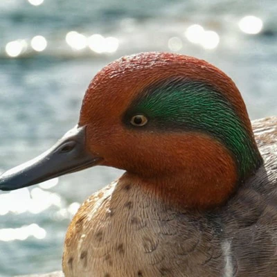 Promo π HI-LINE GIFT LTD 4" Polyresin Large Mallard with Green Wing Outdoor Statue Brown - Hi-Line Gift π 7 Promo π HI-LINE GIFT LTD 4" Polyresin Large Mallard with Green Wing Outdoor Statue Brown - Hi-Line Gift π - Image 5