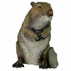 New ❤️ Design Toscano Standing Beaver Statue - Multicolored 😍 -Garden Decor Shop unnamed file 1203