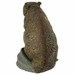 New ❤️ Design Toscano Standing Beaver Statue - Multicolored 😍 -Garden Decor Shop unnamed file 1205