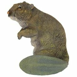 New ❤️ Design Toscano Standing Beaver Statue - Multicolored 😍 -Garden Decor Shop unnamed file 1206