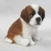 Best reviews of ❤️ HI-LINE GIFT LTD 6.75" Polyresin Saint Bernard Puppy Statue White/Brown - Hi-Line Gift ✨ -Garden Decor Shop unnamed file 1207