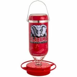 Coupon 🎉 Hummer's Galore Hanging Glass Hummingbird Feeder, NCAA Bird Feeder for Outdoors, Backyard, & Garden, 32 Oz 😀 -Garden Decor Shop unnamed file 12305