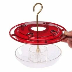 Flash Sale 🔔 Birds Choice 8oz Hummingbird Bird Feeder ⭐