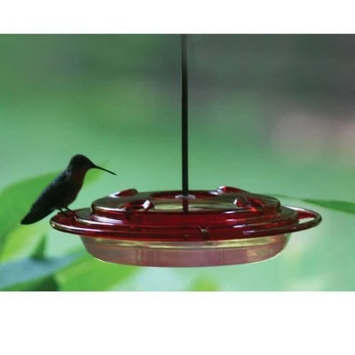 Flash Sale π Birds Choice 8oz Hummingbird Bird Feeder β 3 Flash Sale π Birds Choice 8oz Hummingbird Bird Feeder β - Image 2