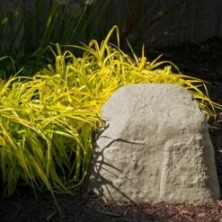 Coupon π Emsco 16.5" Resin Medium River Rock Statuary - Sand π₯ 7 Coupon π Emsco 16.5" Resin Medium River Rock Statuary - Sand π₯ -Garden Decor Shop unnamed file 12361