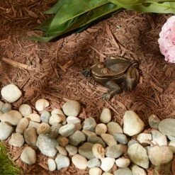 Best Sale π Zingz & Thingz Zingz & Thingz Iron Frog Key Hider Bronze π 9 Best Sale π Zingz & Thingz Zingz & Thingz Iron Frog Key Hider Bronze π -Garden Decor Shop unnamed file 12386