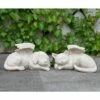 Best deal π Napco Resin Sleeping Puppy π Dog with Angel Wings Pet Memorial Indoor/Outdoor Statue for Lawn and Garden, 9.75 x 4 x 5 Inches, Grey π₯° 1 Best deal π Napco Resin Sleeping Puppy π Dog with Angel Wings Pet Memorial Indoor/Outdoor Statue for Lawn and Garden, 9.75 x 4 x 5 Inches, Grey π₯° -Garden Decor Shop unnamed file 12465