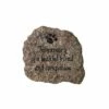 Discount 🎁 Evergreen Stepping Stone, in Memory of a Faithful Friend and Companion 😍