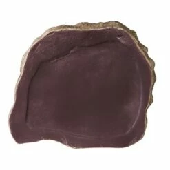 Discount 🎁 Evergreen Stepping Stone, in Memory of a Faithful Friend and Companion 😍 -Garden Decor Shop unnamed file 12492