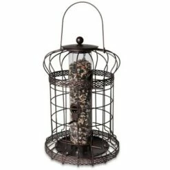 Wholesale π― Edwardian Bird Feeder, Squirrel Deterrent Bird Feeders, Hold 3.5 Cups of Seed, for Outside Hanging with 6 Feeding Ports - Gardener's Supply Company π₯