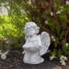 Coupon 🧨 Northlight 9" Kneeling Angel with Flower Bird Feeder Outdoor Garden Statue 😀 -Garden Decor Shop unnamed file 12581
