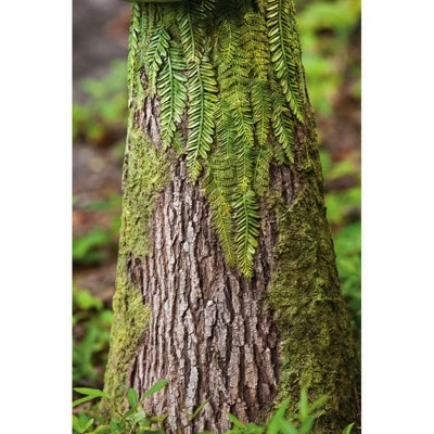 Flash Sale โ๏ธ Evergreen New Creative Sherwood "Fern" Outdoor Safe Statuary Bird Feeder ๐ 3 Flash Sale โ๏ธ Evergreen New Creative Sherwood "Fern" Outdoor Safe Statuary Bird Feeder ๐