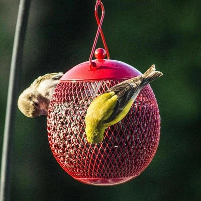 Best deal π€© 3pk Hanging Bird Feeder Set - Backyard Expressions π 3 Best deal π€© 3pk Hanging Bird Feeder Set - Backyard Expressions π