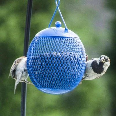 Best deal π€© 3pk Hanging Bird Feeder Set - Backyard Expressions π 4 Best deal π€© 3pk Hanging Bird Feeder Set - Backyard Expressions π - Image 2