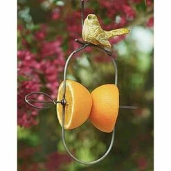 Wholesale 🌟 Fruit Feeder - ANCIENT GRAFFITI 🌟