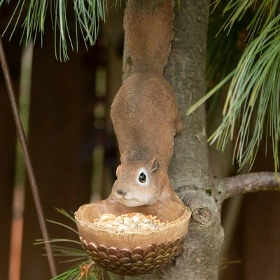 Best Sale β€οΈ Zingz & Thingz Zingz & Thingz 13" Polyresin Scurrying Squirrel Bird Feeder Brown π€© 5 Best Sale β€οΈ Zingz & Thingz Zingz & Thingz 13" Polyresin Scurrying Squirrel Bird Feeder Brown π€© - Image 3