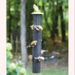 Discount π Birds Choice 2-1/4qt Magnet Mesh Tube Finch Feeder π₯ 11 Discount π Birds Choice 2-1/4qt Magnet Mesh Tube Finch Feeder π₯ -Garden Decor Shop unnamed file 12689