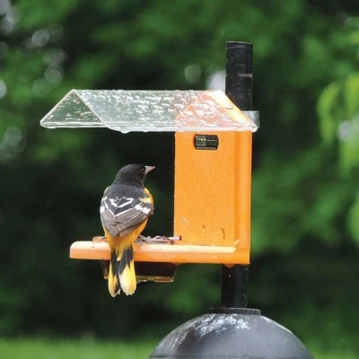 Cheapest 𧨠Birds Choice Pole-Mounted Jelly Bird Feeder π― 5 Cheapest 𧨠Birds Choice Pole-Mounted Jelly Bird Feeder π― - Image 3