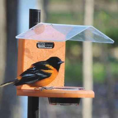 Cheapest 𧨠Birds Choice Pole-Mounted Jelly Bird Feeder π― 6 Cheapest 𧨠Birds Choice Pole-Mounted Jelly Bird Feeder π― - Image 4