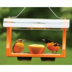 Best deal ⭐ Birds Choice Poly-Recycled Oriole Bird Feeder 😉 -Garden Decor Shop unnamed file 12747