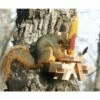 Best reviews of π Woodlink Wooden Mini Picnic Table 1 Ear Corn Cob Squirrel Feeder Feeding Station with Mounting Hardware π 1 Best reviews of π Woodlink Wooden Mini Picnic Table 1 Ear Corn Cob Squirrel Feeder Feeding Station with Mounting Hardware π -Garden Decor Shop unnamed file 12866