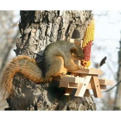 Best reviews of π Woodlink Wooden Mini Picnic Table 1 Ear Corn Cob Squirrel Feeder Feeding Station with Mounting Hardware π 3 Best reviews of π Woodlink Wooden Mini Picnic Table 1 Ear Corn Cob Squirrel Feeder Feeding Station with Mounting Hardware π