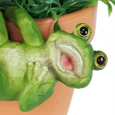 Coupon π Resin Animal Pot Hanger Set - Exhart β€οΈ 5 Coupon π Resin Animal Pot Hanger Set - Exhart β€οΈ - Image 4