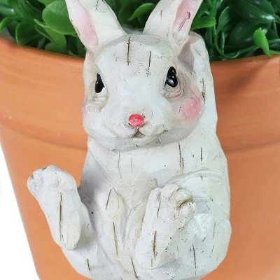 Coupon π Resin Animal Pot Hanger Set - Exhart β€οΈ 6 Coupon π Resin Animal Pot Hanger Set - Exhart β€οΈ - Image 5