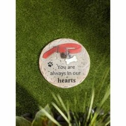 Hot Sale π€© Zingz & Thingz Zingz & Thingz Cement "You Are Always in Our Hearts" Pet Memorial Stepping Stone Gray π 13 Hot Sale π€© Zingz & Thingz Zingz & Thingz Cement "You Are Always in Our Hearts" Pet Memorial Stepping Stone Gray π -Garden Decor Shop unnamed file 12974