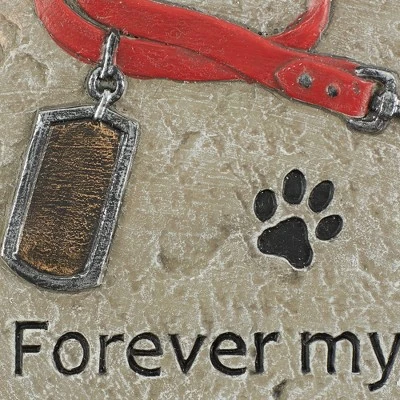 Cheap π Zingz & Thingz Zingz & Thingz Concrete "Forever My Best Friend" Pet Memorial Stepping Stone π 4 Cheap π Zingz & Thingz Zingz & Thingz Concrete "Forever My Best Friend" Pet Memorial Stepping Stone π - Image 2