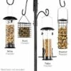Cheap π₯ Best Choice Products 89in 6-Hook Bird Feeding Station, Steel Multi-Feeder Stand w/ 4 Feeders, Tray, Bird Bath β¨ 1 Cheap π₯ Best Choice Products 89in 6-Hook Bird Feeding Station, Steel Multi-Feeder Stand w/ 4 Feeders, Tray, Bird Bath β¨ -Garden Decor Shop unnamed file 13159