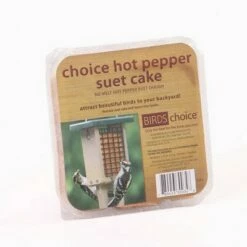 Cheap 👍 Birds Choice Hot Pepper Suet Cake 11.75oz, Case of 12 😀