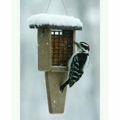 Cheap 👍 Birds Choice Hot Pepper Suet Cake 11.75oz, Case of 12 😀 -Garden Decor Shop unnamed file 13168