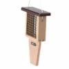 Cheapest ⭐ Birds Choice Single-Cake Tail-Prop Suet Bird Feeder with Brown Top ✨ -Garden Decor Shop unnamed file 13179