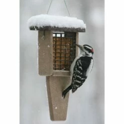 Cheapest ⭐ Birds Choice Single-Cake Tail-Prop Suet Bird Feeder with Brown Top ✨ -Garden Decor Shop unnamed file 13181