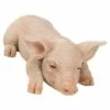 Best reviews of 🧨 HI-LINE GIFT LTD 11.5" Polyresin Peaceful Pig Sleeping Outdoor Statue Pink - Hi-Line Gift 🎉 -Garden Decor Shop unnamed file 1319