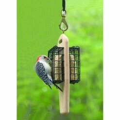 Buy π₯° Birds Choice Woodpecker Cake 11.75oz, Case of 12 π 9 Buy π₯° Birds Choice Woodpecker Cake 11.75oz, Case of 12 π -Garden Decor Shop unnamed file 13204