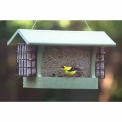 Cheap 😍 Birds Choice 3qt Hopper Feeder With Suets Medium - Green ✨ -Garden Decor Shop unnamed file 13209