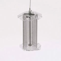 Flash Sale 💯 Birds Choice 1qt Forever Black Oil Sunflower Bird Feeder - Clear 🧨