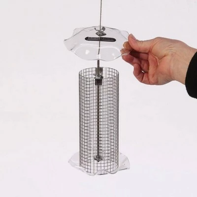 Flash Sale π― Birds Choice 1qt Forever Black Oil Sunflower Bird Feeder - Clear 𧨠4 Flash Sale π― Birds Choice 1qt Forever Black Oil Sunflower Bird Feeder - Clear 𧨠- Image 2