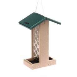 Discount 😉 Birds Choice Whole Peanut Blue Jay Bird Feeder with Green Roof 🎉